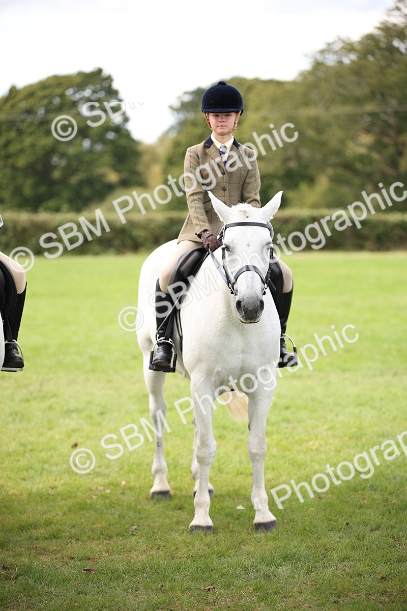 SBM_42379 - S13 - Pony Club Pony