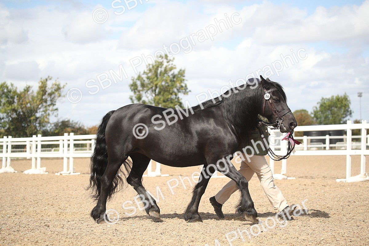 SBM_23187 - Class 606 - 2026 - Area - IH Pre Vet