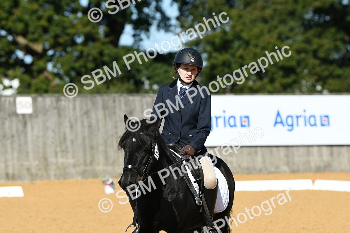 SBM_18173 - D4 - Small Tour Championship - Intro B