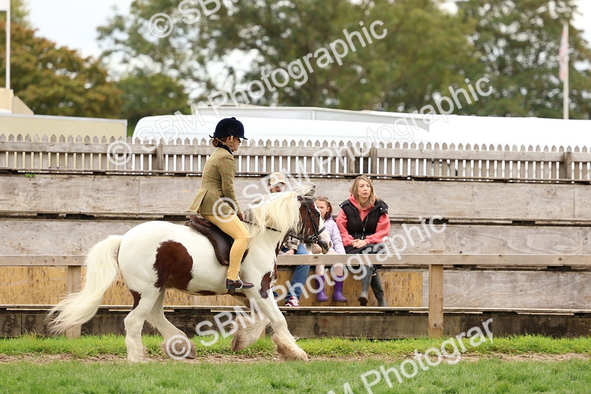 SBM_64596 - S58 - Coloured Pony Ridden