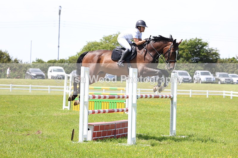 3E7A1302 - Class 12: Senior Foxhunter/1.20 open