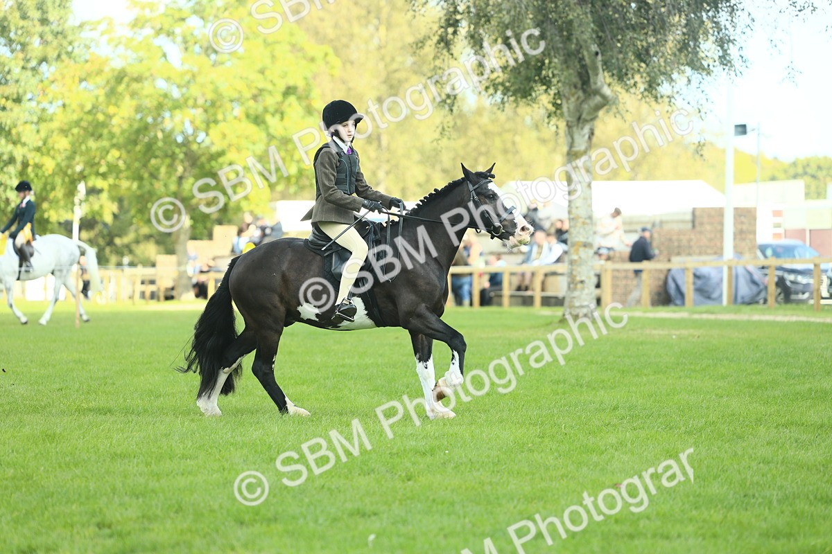 SBM_42007 - S29 - Novice & Newcomers Working Hunter Pony