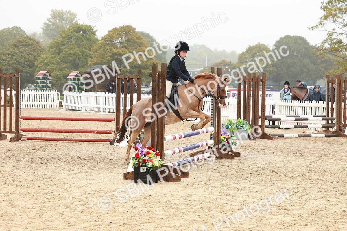 SBM_73339 - Supreme Championship Junior Pony 60cm & 65cm
