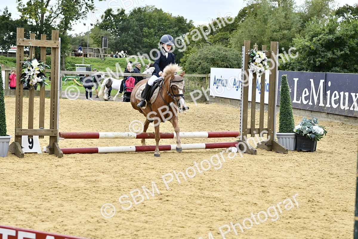 SBM_65471 - J2a mini Tour Junior Pony 30cm Championship