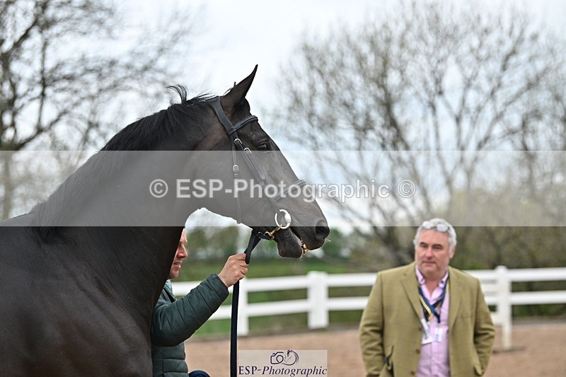 250423-152804-01642 - 3pm to 4pm