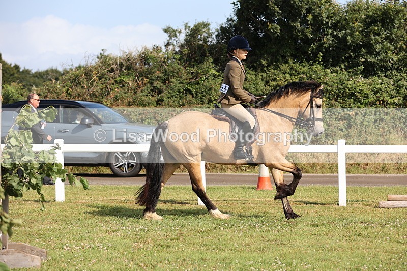 JPP_0685 - Class 16: Cornish Combination Young Rider