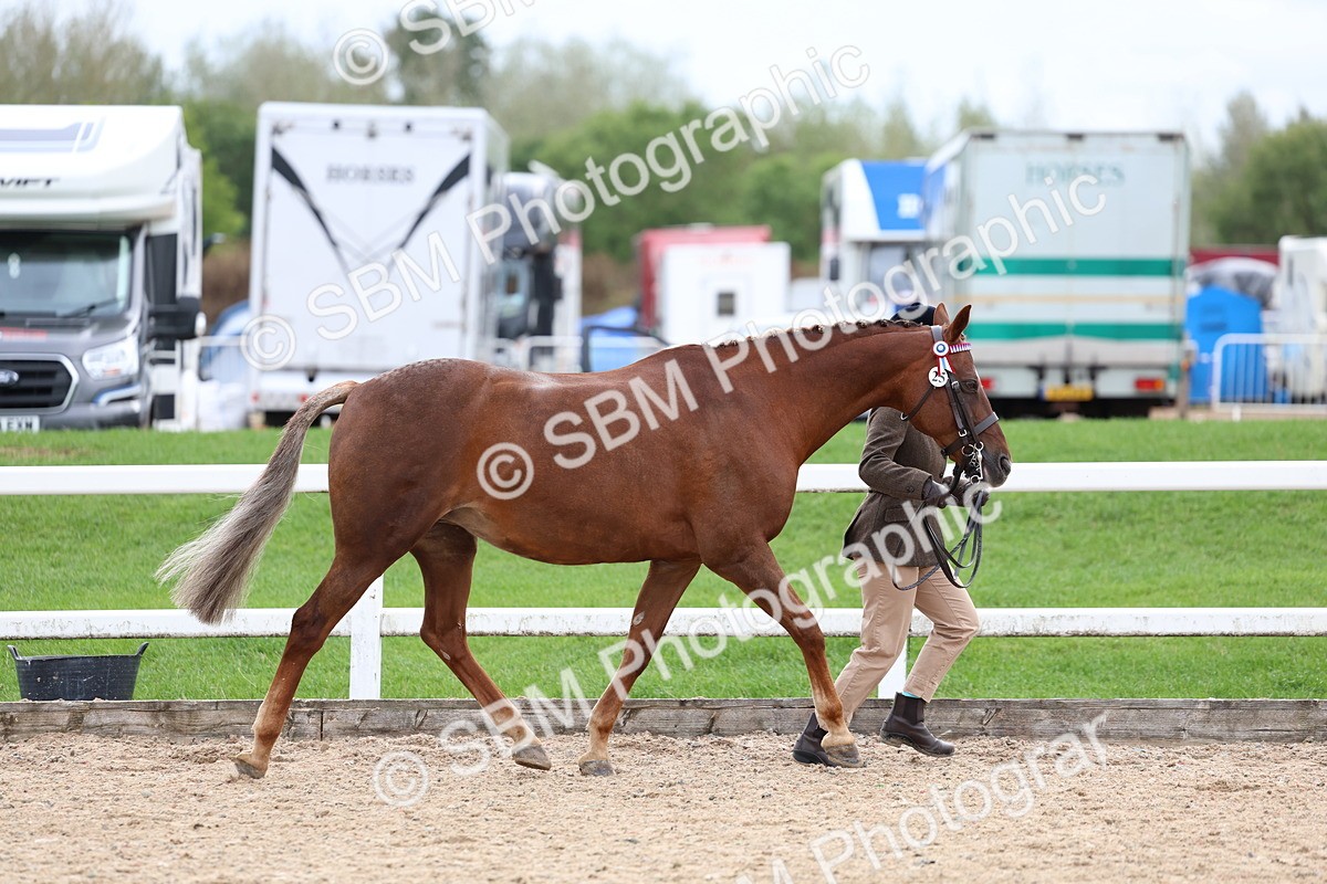 SBM_05842 - Class 29 - IH Veteran Pony