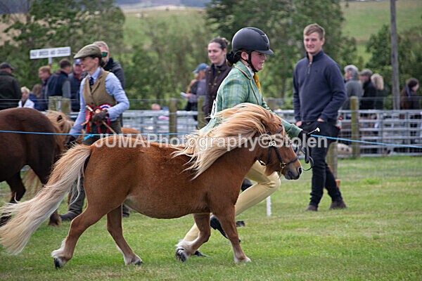DSC_0315 - Ring 1