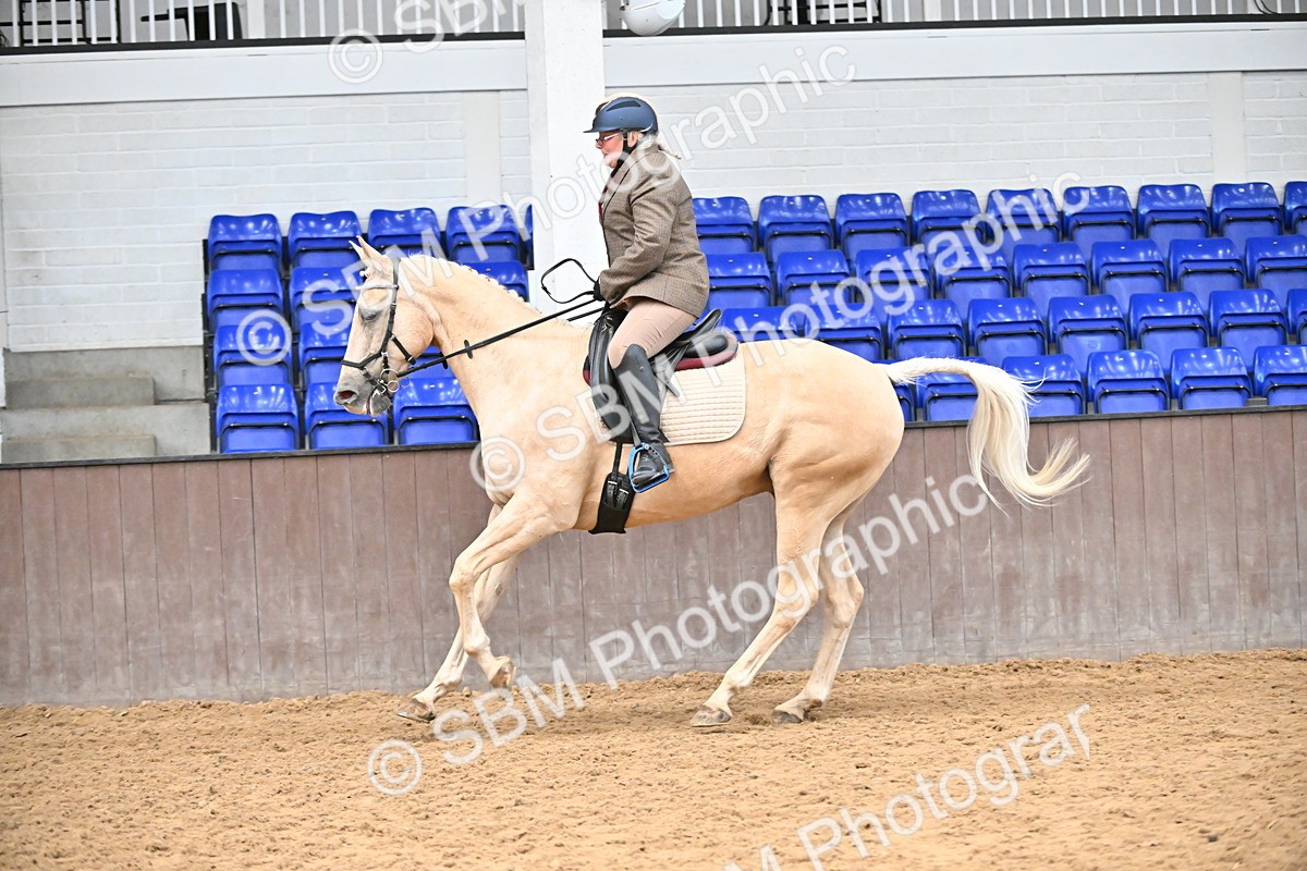 SBM_001473 - Class 19,20 - Ridden Native, Foreign Breeds & Warmbloods