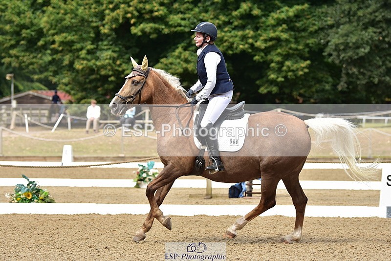 250719A-102348-03652 - 086-Alison.Nicoll-Moondust