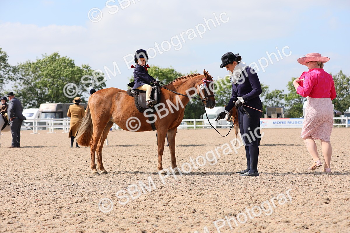 SBM_13995 - Class 309 Lead Rein Pony