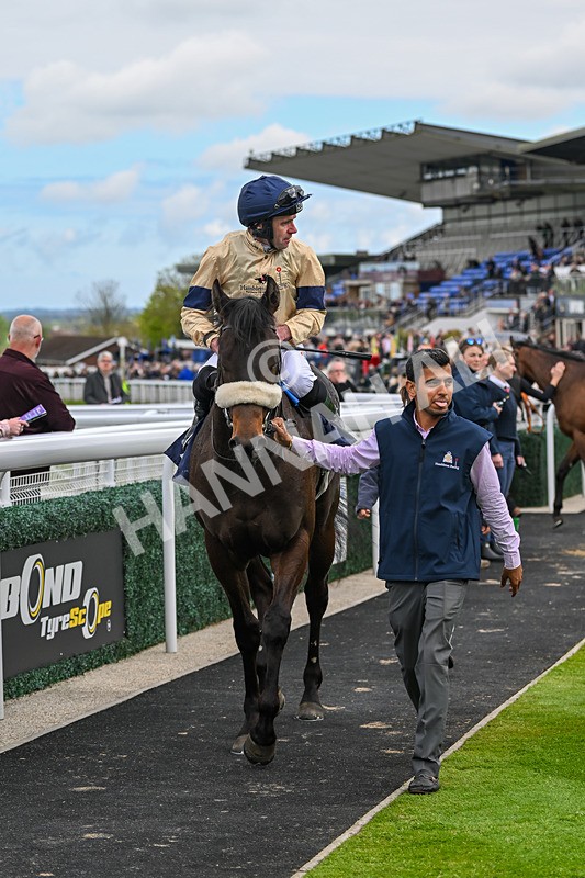 240425-Race 1-Tropical Dreamer-0947 - Race 1