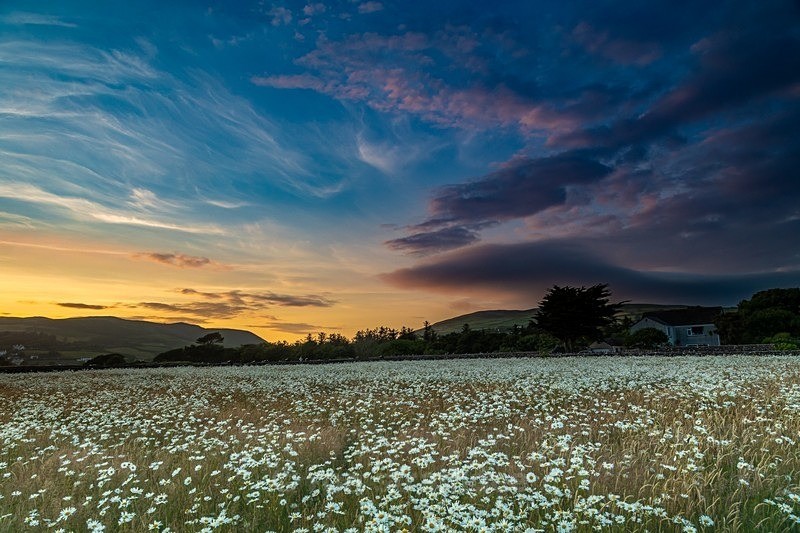 7L9A5613 - Land of Man