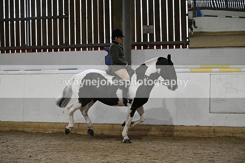 WJ7_3876 - Class 17 Ridden Cob