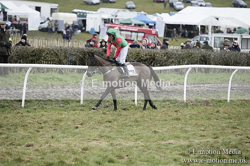 PtP 020418 -507 - Old Berks Point-to-Point Races Easter Monday 02/04/18