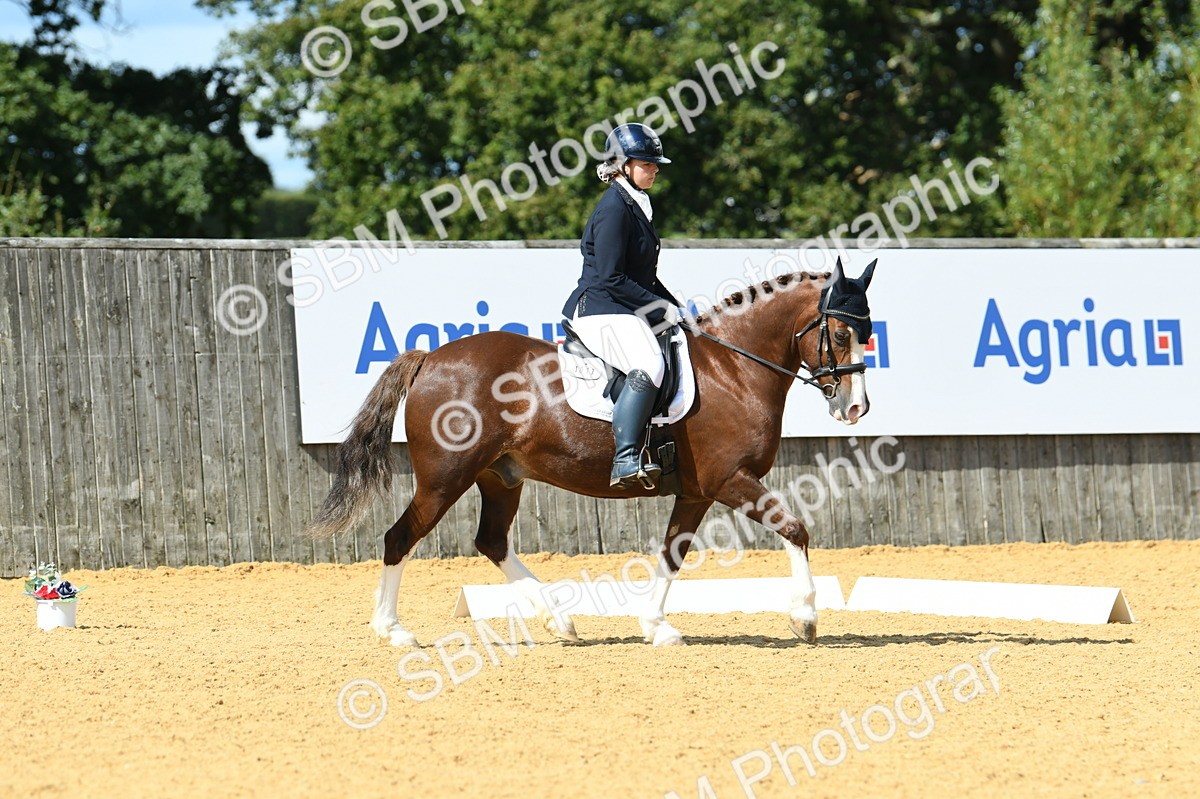 SBM_06408 - D15 Small Tour Championship Novice 24