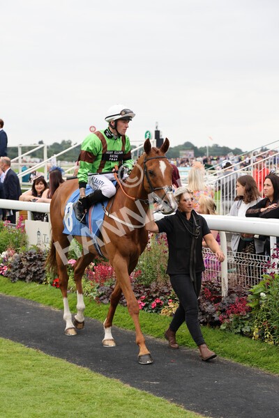 yr24072021r5-27 - Race 5 4.25pm Sky Bet Best Odds Guaranteed Stakes