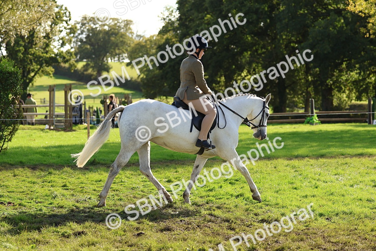 SBM_52387 - S13 - Pony Club Pony