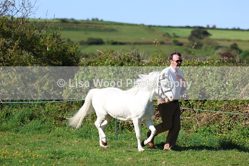 3E7A8357 - Class 12: M & M Small Breeds