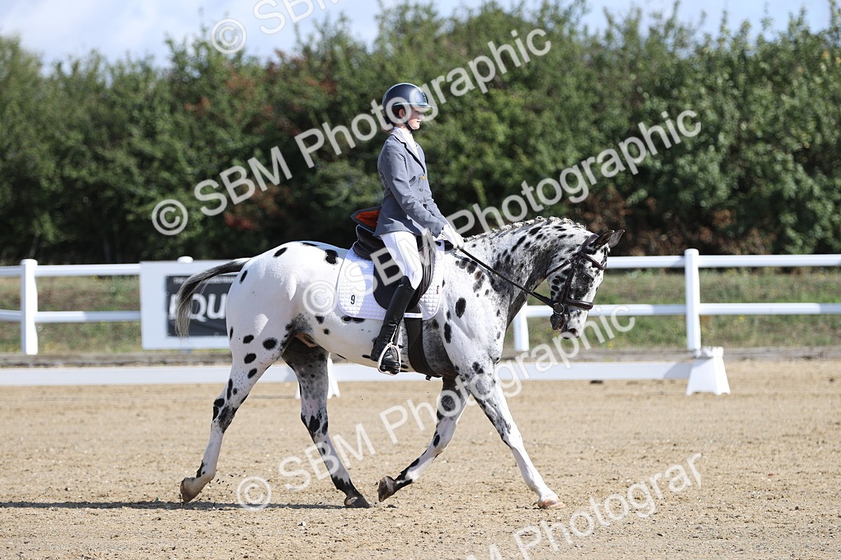 SBM_001185 - Class 2 - Intro 4 Champs - 9.44-10.38