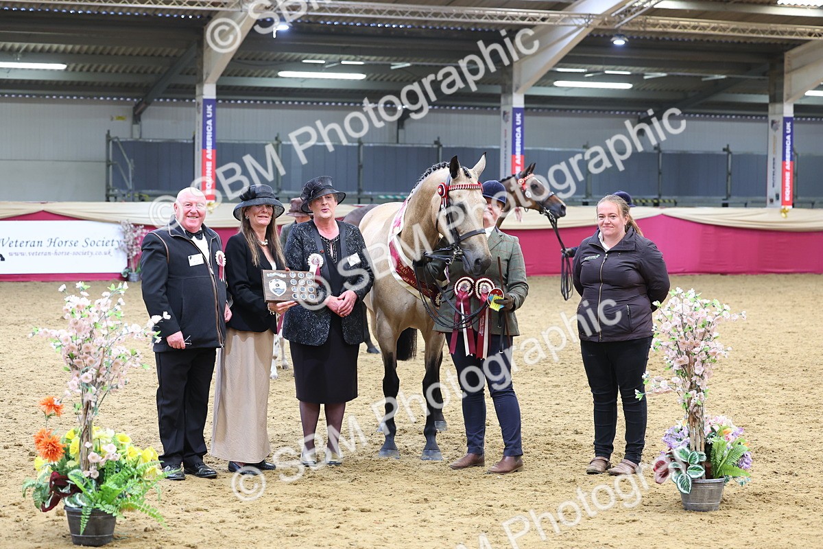 SBM_21195 - Class 902 - Supreme Final IH Veteran