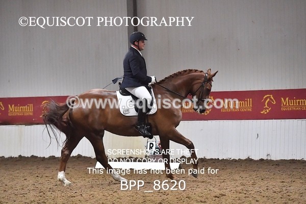 BPP_8620 - NOVICE 4 BD