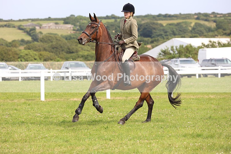JPP_4066 - Class 24: Working Hunter 90cm