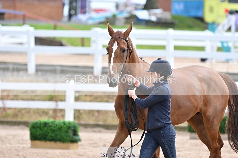 240717A-143022-02092 - Trot Up 2pm to 3pm - This folder is not in time order