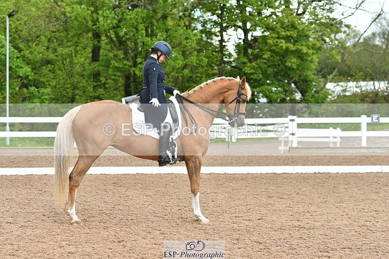 230511A-160623-01299 - BD Cls 18 FEI PSG