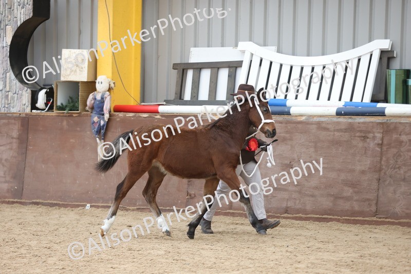 20251109-1129 - Championship