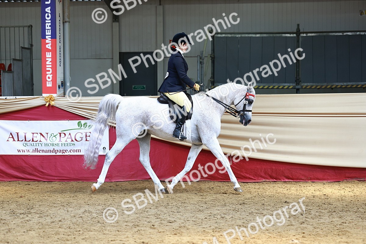 SBM_23285 - class 906 - Supreme Final - Ridden Pre Vet
