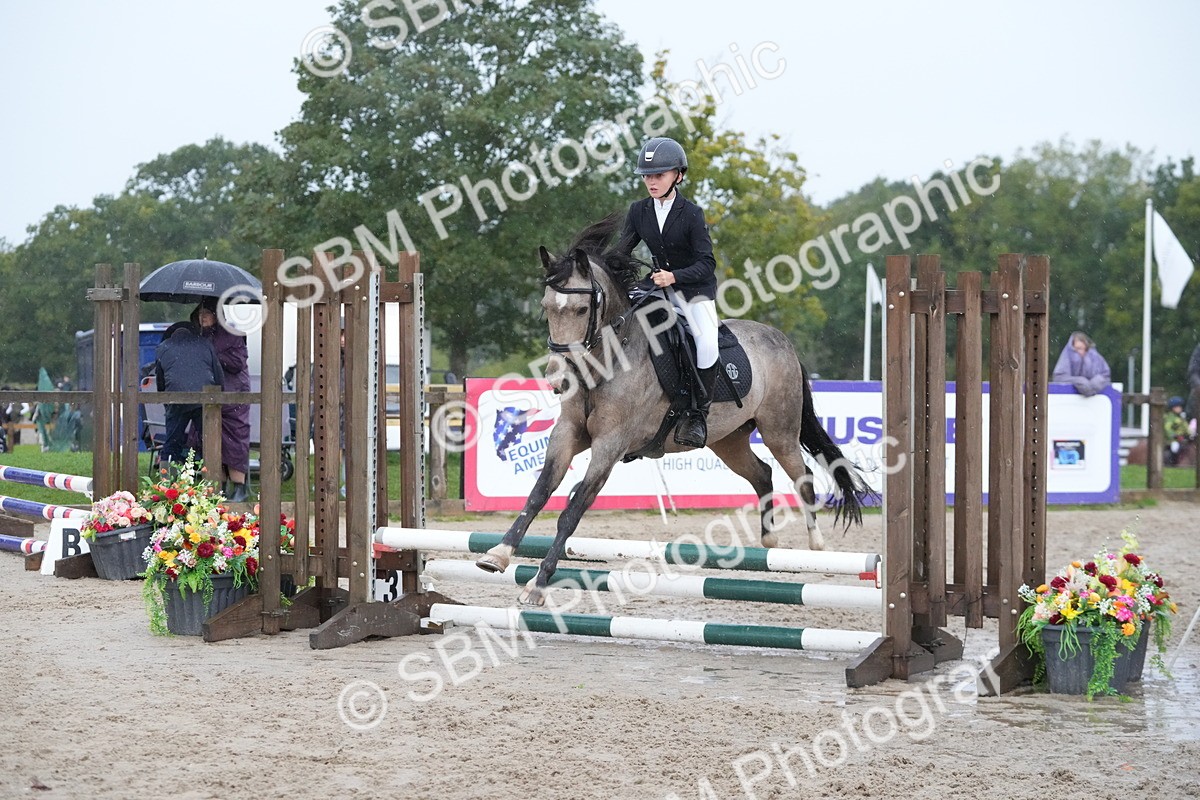 SBM_33530 - J5 - Junior Pony 50cm Championship