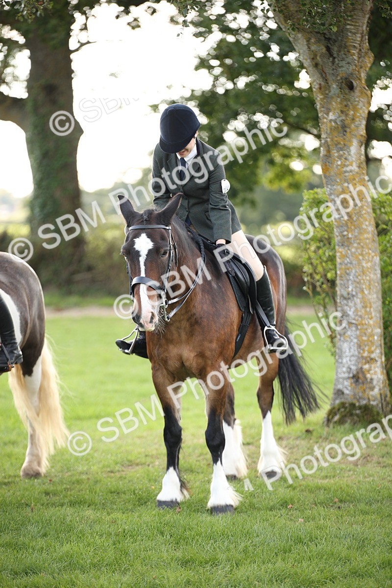 SBM_54276 - S27 - Mature Veteran - Ridden
