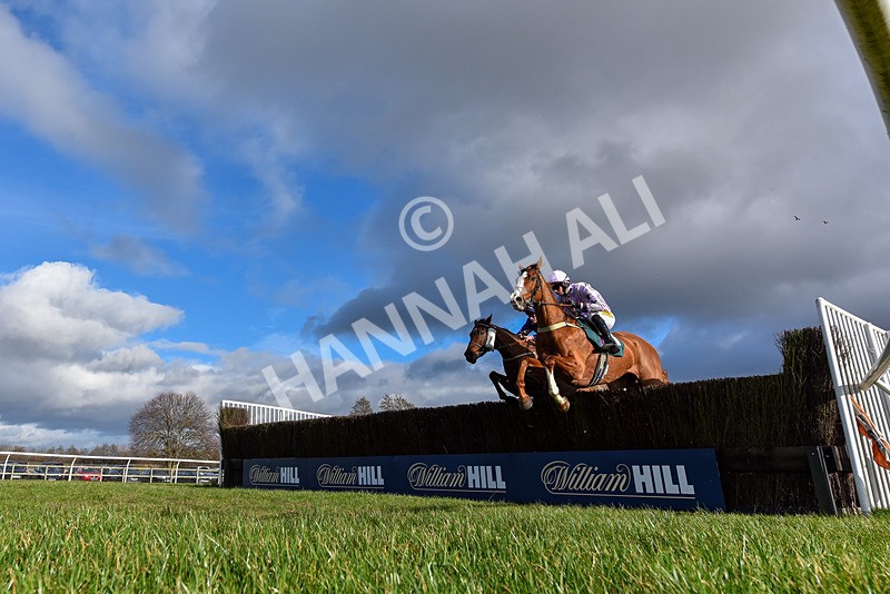 250225-Race 2-Treaty Boy-0620 - Race 2