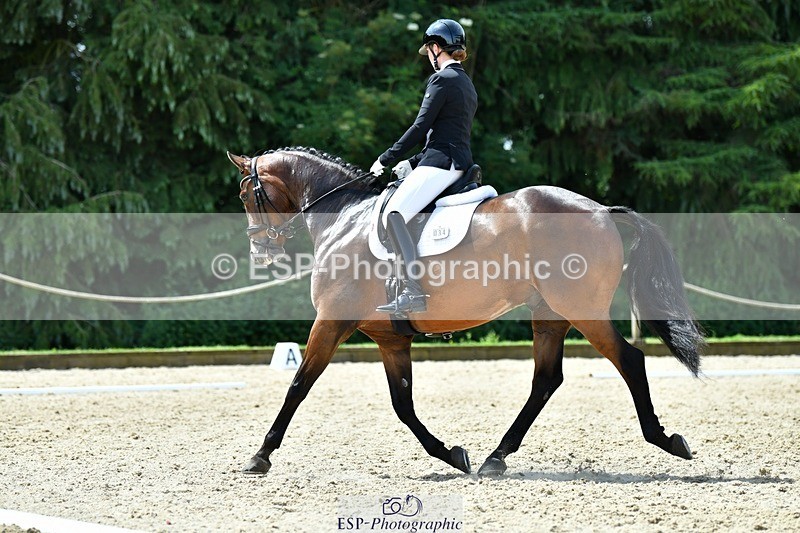 230623-114406-02121 - Cls 4 Novice 37Q Start to 12.35 break