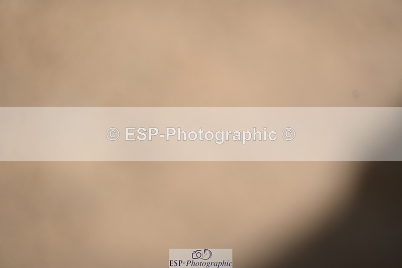 240323A-151446-02425 - UnA Novice 28