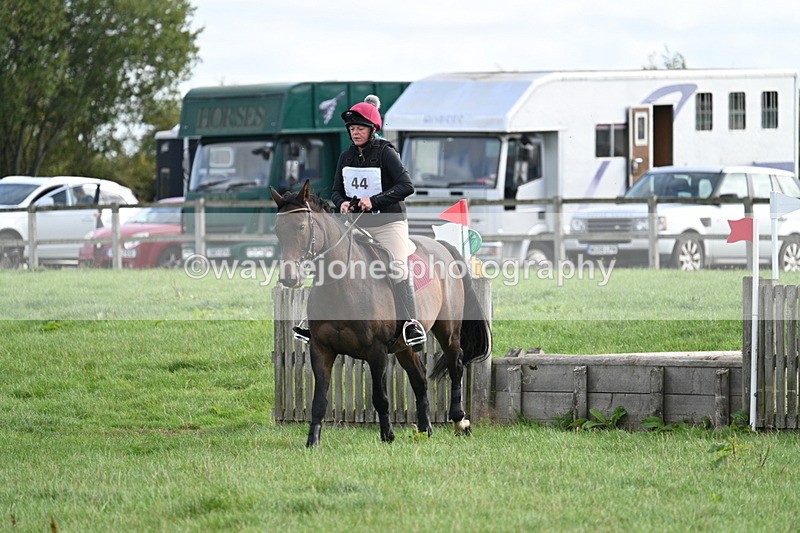 WJ7_8341 - 60cm Pairs