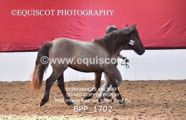 BPP_1702 - MORNING 9AM - 12PM