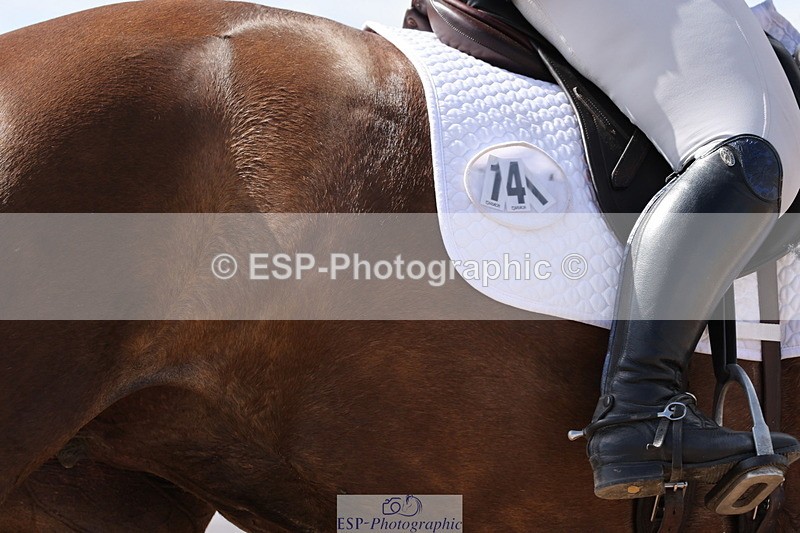 240622A-162450-14620 - Cls 36 BD Adv Medium 98