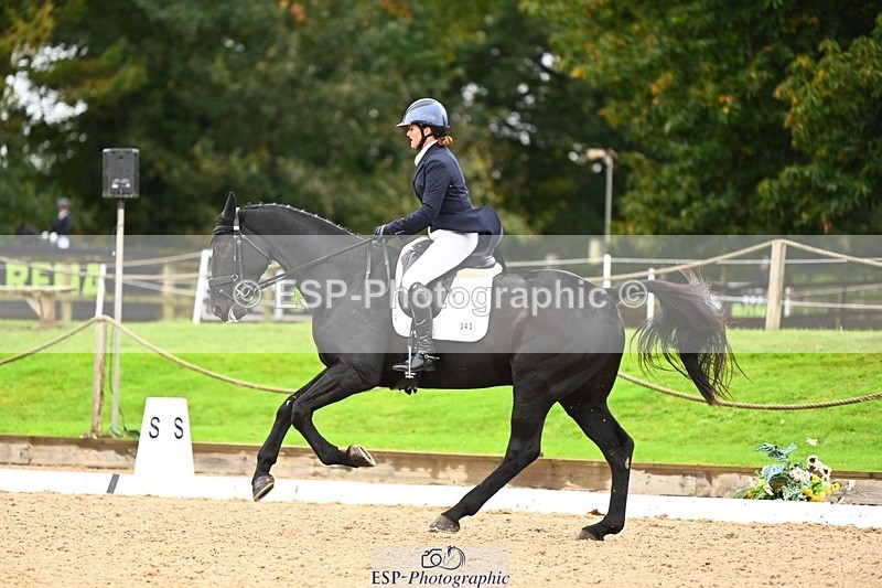 231021-115241-15008 - 343-MIDNIGHT.ROLLERCOASTER-Alison.Lidstone-DR