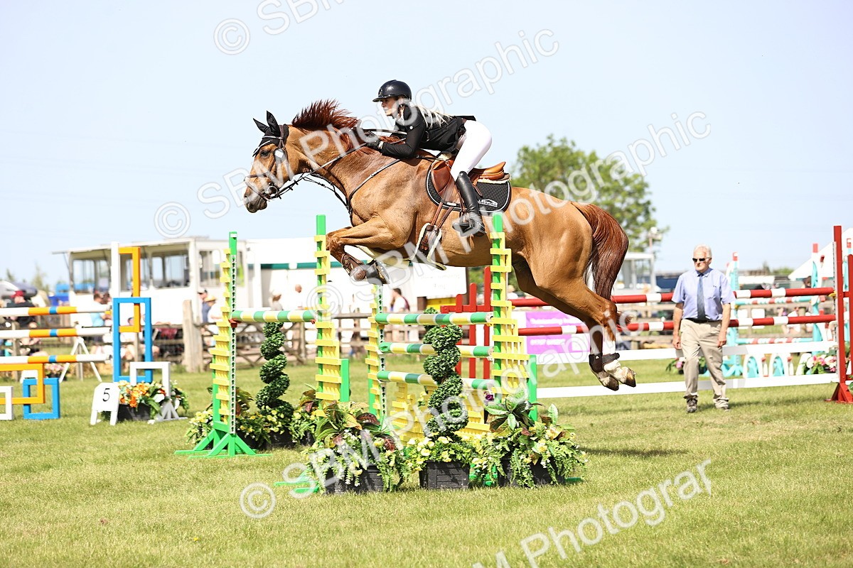 SBM_03103 - Class 201 - British Horse Feedds Speedi Beet HOYS Grade C