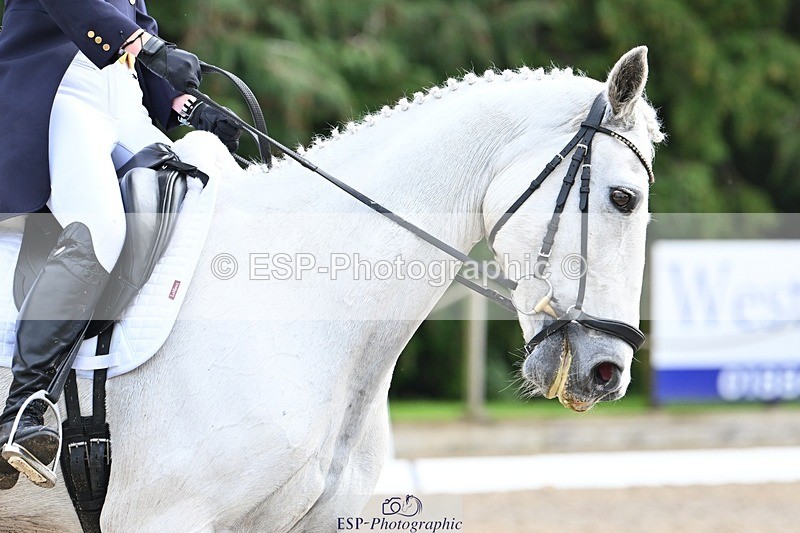 231019-144121-04576 - 126-DERRYS.LADY.LOU-Debbie.Townsend-DR