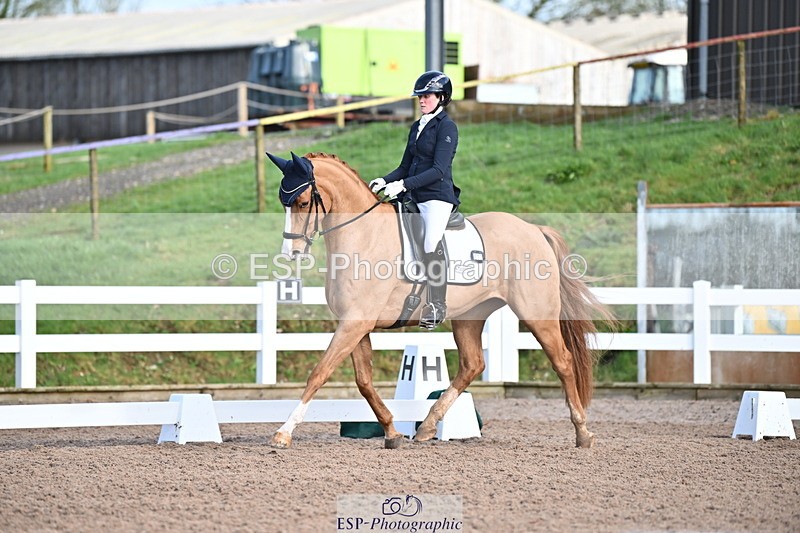 240218A-114153-06806 - 272-Beth.Bainbridge-Newton.Dreamcatcher