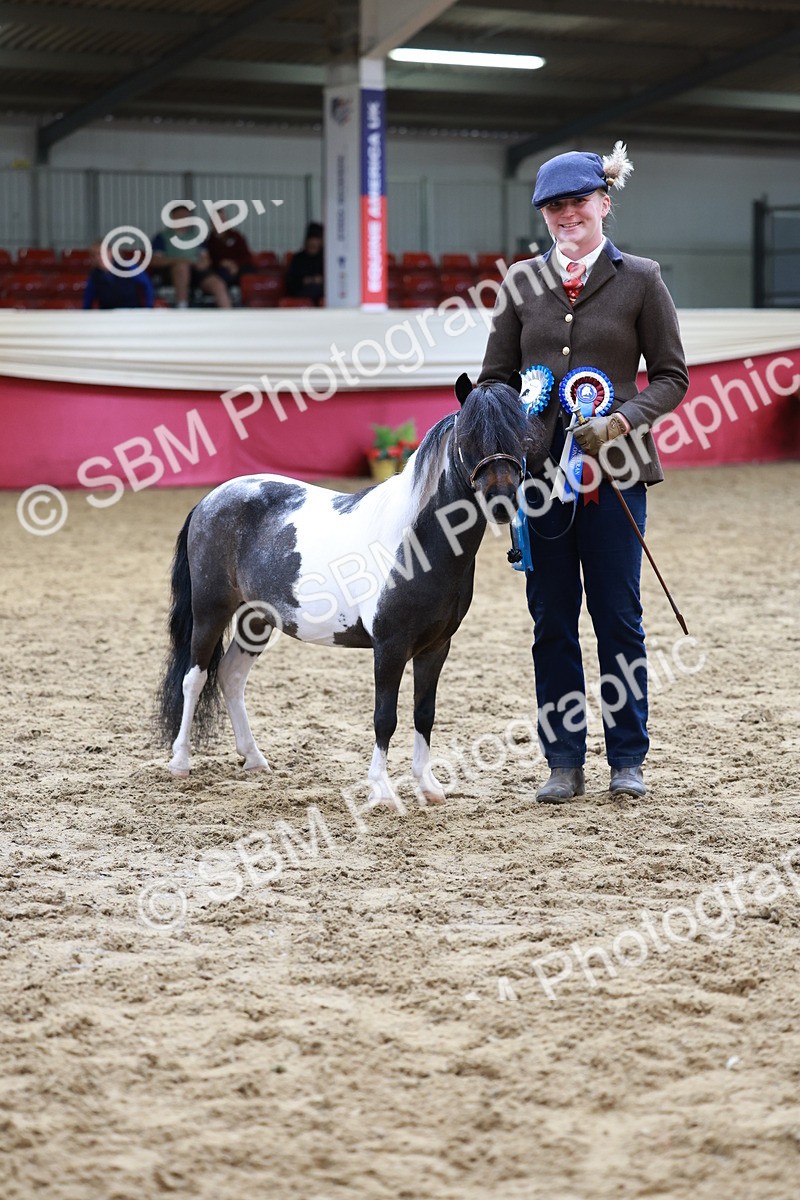 SBM_15754 - Class 110 - IH  Minature Horse