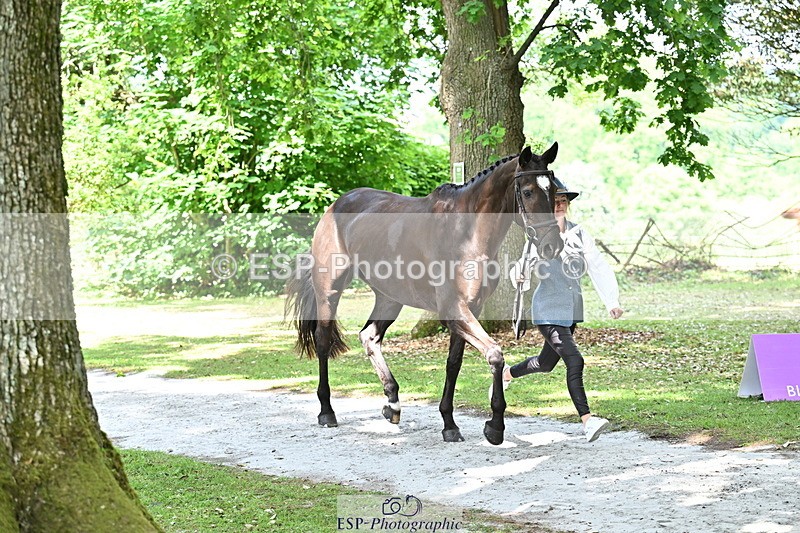 250521A-152159-00452 - B-379-Kelli.Frewin-HIDDEN.GOLD