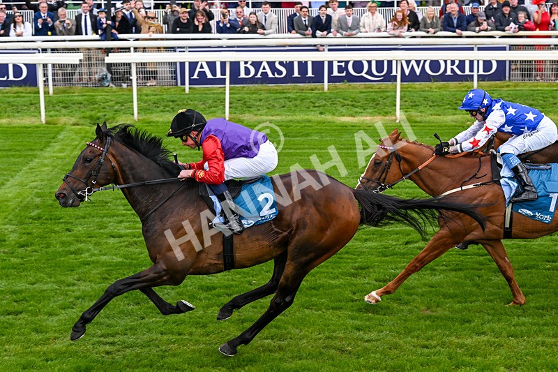 150526-Race 3-Warrant Holder-0190 - Race 3 2.55pm Support Macmillan Charity Raceday On 13 June Handicap