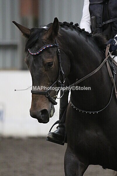 SIAL5402 - CAbin Dressage 5th july 2025