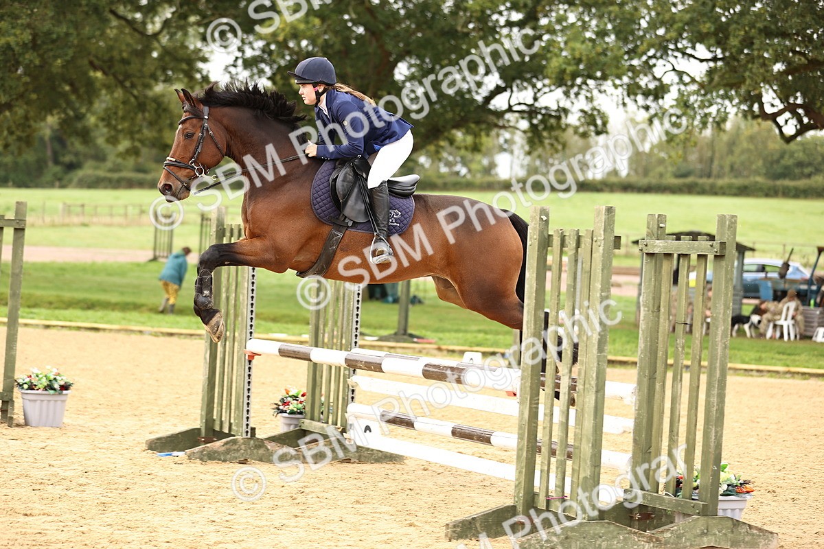 SBM_58505 - J41 - Grand Tour Horse & Pony 95cm