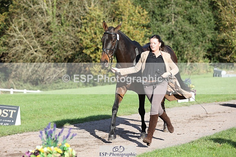 241027-095128-15540 - 444-Tatiana.Wharton-NO.TOMMY.NO