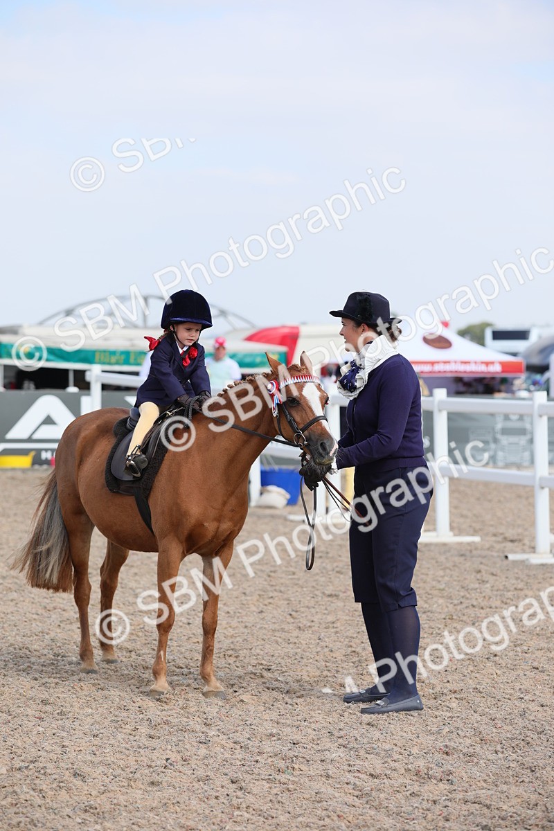 SBM_14008 - Class 309 Lead Rein Pony